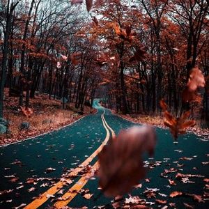 Meet your Posher, Noell